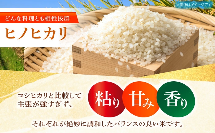 ヒノヒカリ 白米 10kg 【有限会社江北商会】 [HDK001] 新米 精米 米 おこめ お米 こめ コメ 白米 10キロ