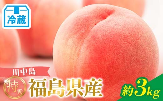 2026年先行予約 <冷蔵配送> 糖度12度以上 特秀 福島県産 川中島白桃 約3kg 透過式光センサー選別  数量限定 期間限定 桃 もも モモ 果物 くだもの フルーツ F21C-457