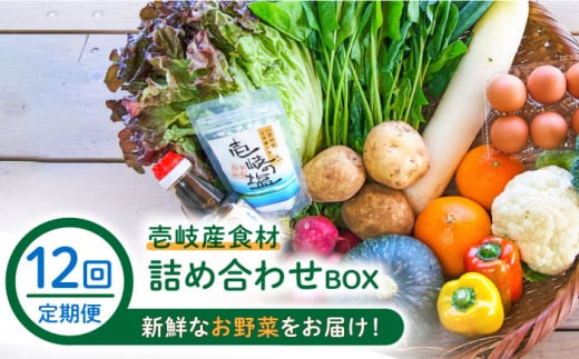 【全12回定期便】壱岐産食材詰め合わせBOX「野菜」 [JBF017] 264000 264000円