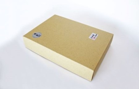 さつま揚げ ちっきゃげ天のさつまいも天 100g×６パック ちっきゃげ天 IB093-002 さつま揚げ さつま揚げ 