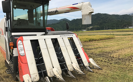 3ケ月連続 福井県若狭町 つきあかり （一等米）  10kg（5kg×2）（神谷農園） お米 ブランド米 銘柄米 ご飯 おにぎり お弁当 産地直送 和食 主食 
