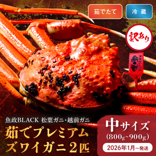 訳あり　【蟹の匠 魚政】茹で　プレミアムズワイガニ 魚政BLACK（松葉ガニ・越前ガニ） 中サイズ（800～900g）  2匹セット(1月～3月発送）
