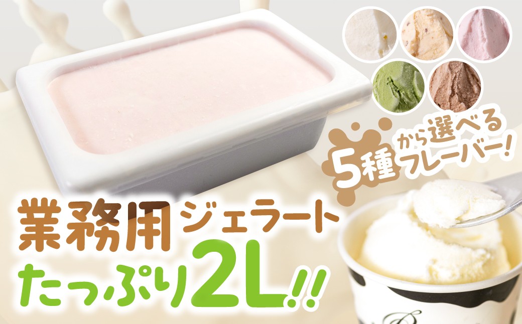 
                  訳あり 行列店の ジェラート 業務用2L 選べる フレーバー 5種類 ミルク いちごみるく キャラメルナッツ スイーツ 牧場 直送 牛乳 こだわり ミルク アイス 手作り 送料無料 ワケアリ いちご 苺 アイスクリーム 厳選 人気 いちごミルク チョコレート 抹茶
                