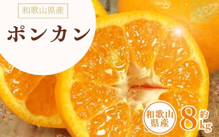 ポンカン 約8kg/サイズおまかせ　※2026年1月下旬～2026年2月下旬頃に順次発送予定(お届け日指定不可)　紀伊国屋文左衛門本舗　【kztb450B】