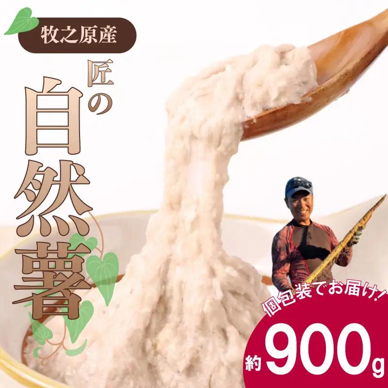 【R8年12月から発送】自然薯 900g  個包装 静岡県 牧之原市 自然薯 たくみファーム