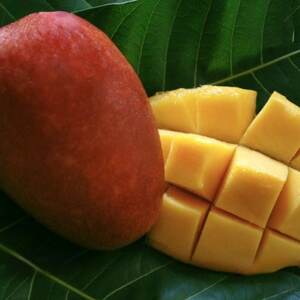 【2026年6月下旬から順次発送・家庭用】みなとばる農園の完熟アップルマンゴー4kg(6～12玉)【配送不可地域：離島】【1699998】