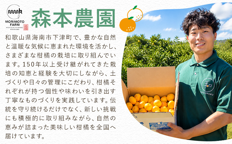 みかん ご家庭用 柑橘 極早生 極早生みかん 手選別 2S-2Lサイズ混合 8kg 森本農園《10月上旬-11月上旬頃出荷》和歌山県 日高町 柑橘類 フルーツ 家庭用 ミカン お取り寄せフルーツ【配送