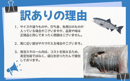 【訳あり】銀鮭切り身  味付け ご家庭用・お弁当に最適！ふっくらジューシー 1Kg