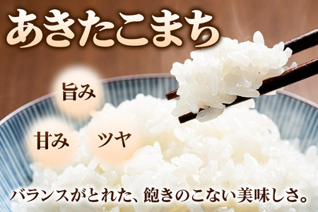 米 あきたこまち 10kg 令和7年産 新米 白米 田口商店 農家直送 秋田県産