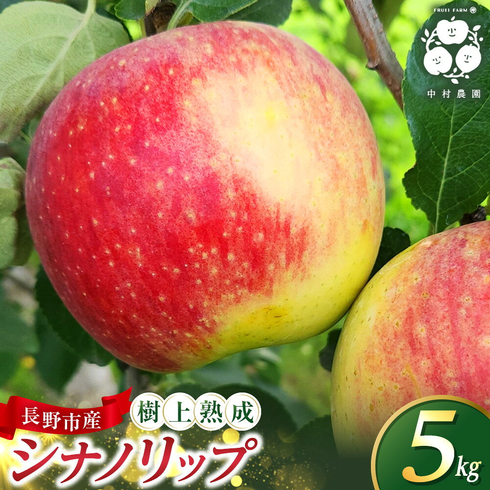 【ふるさと納税】【2027年8月中旬～順次発送 先行予約】フルーツファーム中村農園　樹上熟成　シナノリップ 5kg | りんご 樹上完熟 長野市 人気 おすすめ 信州林檎 果物 フルーツ 旬 甘み 酸味 夏りんご ギフト 家庭用 送料無料 長野県 長野市 信州 信濃 ふるさと納税