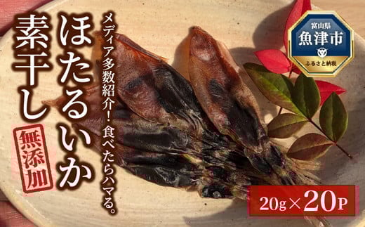 
            【大量シェア】ホタルイカ 400g  素干：浜浦水産シェアセット｜ ほたるいか 天然塩 魚貝類 魚介類 海鮮 海産物 素干し 干物 ひもの 乾物 珍味 大量 シェア お裾分け おすそわけ お取り寄せ 人気 日本海 北陸 富山県 富山湾 魚津市 送料無料
          