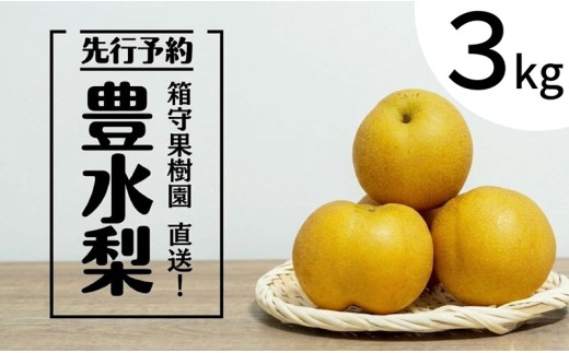 【 先行予約 】梨 豊水 3kg なし 梨 ほうすい 豊水 豊水梨 果実 果物 フルーツ 産地直送 2026年産 箱守果樹園 関東 茨城 筑西