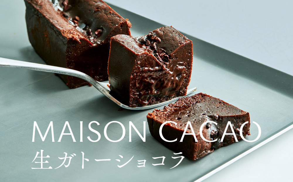 メゾンカカオ 濃厚生ガトーショコラ 300g 驚きの口どけ 冷凍