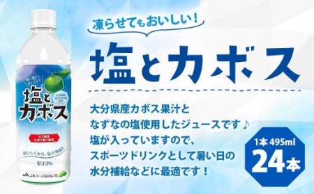 022-518 塩とカボス 495ml×24本  計約12kg かぼす なずな ジュース スポーツドリンク