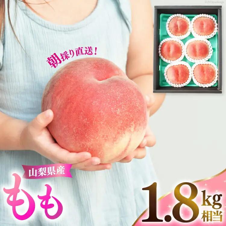 【期間限定発送】 桃 山梨県産 もも 約1.8kg 【朝採り直送】NS-1006 [韮崎翠緑 山梨県 韮崎市 20743936] モモ 果物 くだもの フルーツ 冷蔵 山梨