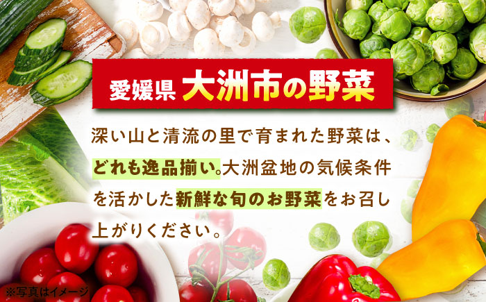 【シェフの目線】栽培期間中農薬不使用！大満足 旬のお野菜セット　愛媛県大洲市/有限会社ヒロファミリーフーズ[AGBX003]野菜 サラダ カレー 農業 トマト 料理  きゅうり 鍋 とうもろこし 果物