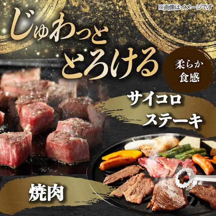 【8回定期便】 飛騨牛 プレミアム 定期便 4人前 ( しゃぶしゃぶ × すき焼き × サイコロステーキ × 焼肉 ) 各1kg [TAZ049]すき焼き