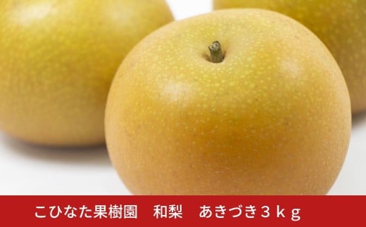 ＊先行予約＊ あきづき ３kg [2026年発送分] 令和８年産 和梨 新潟 三条 燕三条 果物 贈答用 [こひなた果樹園] 【011S325】