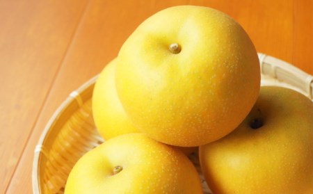 先行予約 和梨 新興 自家用 約5kg [11月上旬から発送予定] 令和7年度 梨 新潟フルーツ 新潟県産 [小林農園] 【010P075】