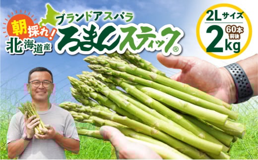 ロマンス農園 ろまんスティック 2Lサイズ 2kg　T049-006