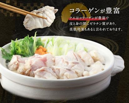 鍋用冷凍クエ1kg（500g×2パック）～幻の天然高級魚～海鮮鍋 寄せ鍋 煮付け 切り身 クエしゃぶ しゃぶしゃぶ【R00657】