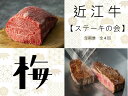 【ふるさと納税】 【 近江牛 ステーキの会【梅】定期便(全4回) 】 肉 牛肉 ブランド牛 三大和牛 和牛 黒毛和牛 贈り物 ギフト プレゼント 滋賀県 竜王