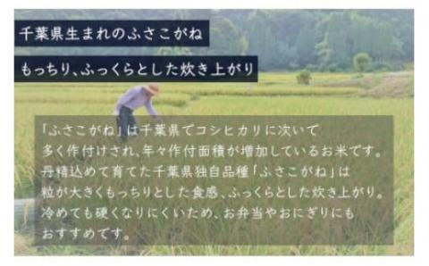 【新米先行受付】令和6年産  千葉県産「ふさこがね」10kg（5kg×2袋） A004