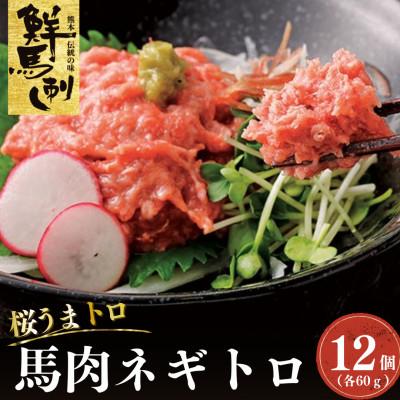 ふるさと納税 上天草市 桜うまトロ小分け 馬肉の赤身ネギトロ　12個　計720g(各60g)(上天草市)