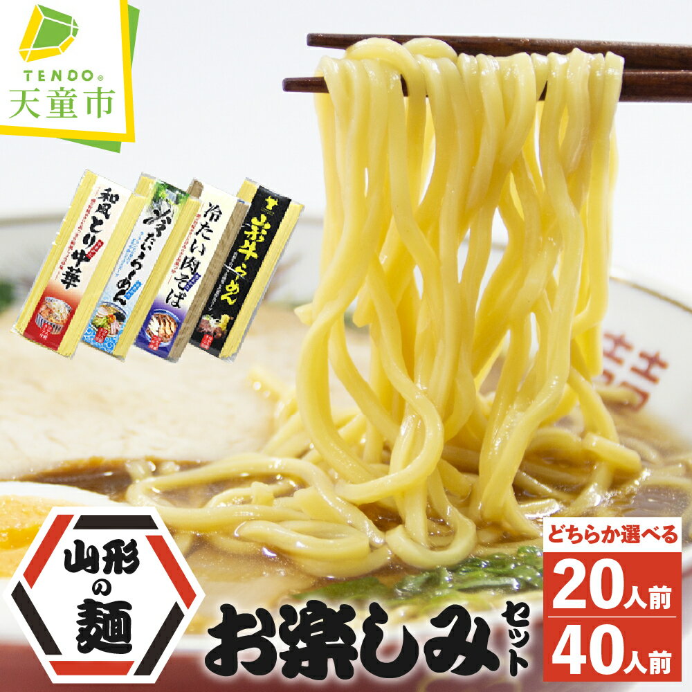 【ふるさと納税】 山形の麺お楽しみセット 選べる 20人前 / 40人前 乾麺 鳥中華 山形牛ラーメン 冷たい ラーメン 肉そば スープ付き ご当地グルメ おすそ分け ご家庭用 のし 贈答 ギフト お取り寄せ 送料無料 山形eLab 【 山形県 天童市 】