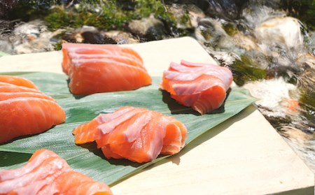 信州サーモン フィレ 450g  冷凍