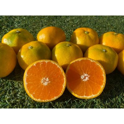 ふるさと納税 牧之原市 みかん(2kg)と採りたて野菜(5品)セット |  | 01