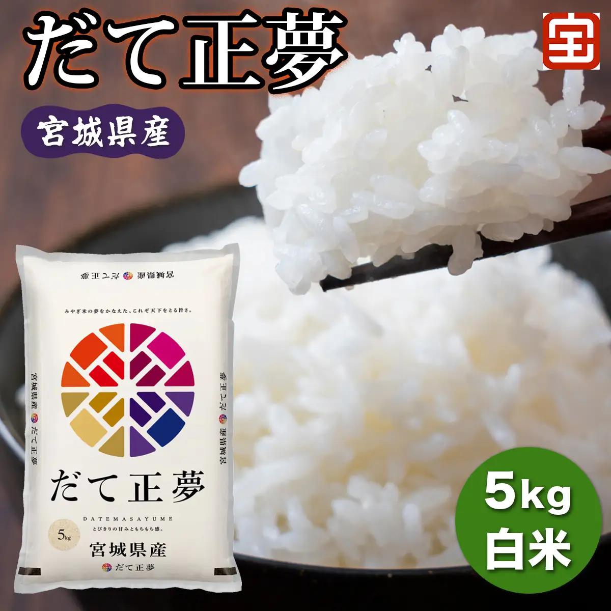 ★8月31日受付終了★令和7年産 宮城県産 だて正夢 5kg (白米) [0378]