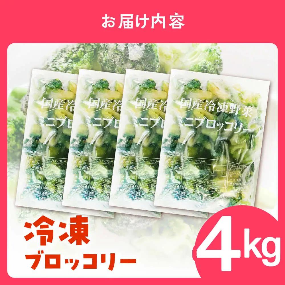 冷凍ブロッコリー 4kg [SEW008] ブロッコリー
