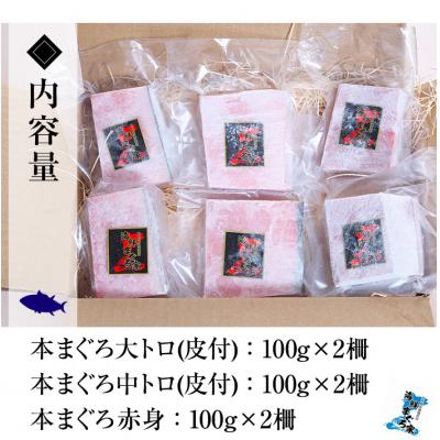 ふるさと納税 いちき串木野市 天然本マグロ 大トロ・中トロ・赤身 各100g×2 計600g |  | 02