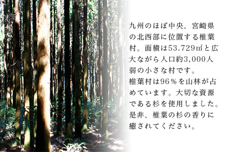 【椎葉産 杉使用】命名ボード 一生に一度の宝物【オンリーワンの逸品】