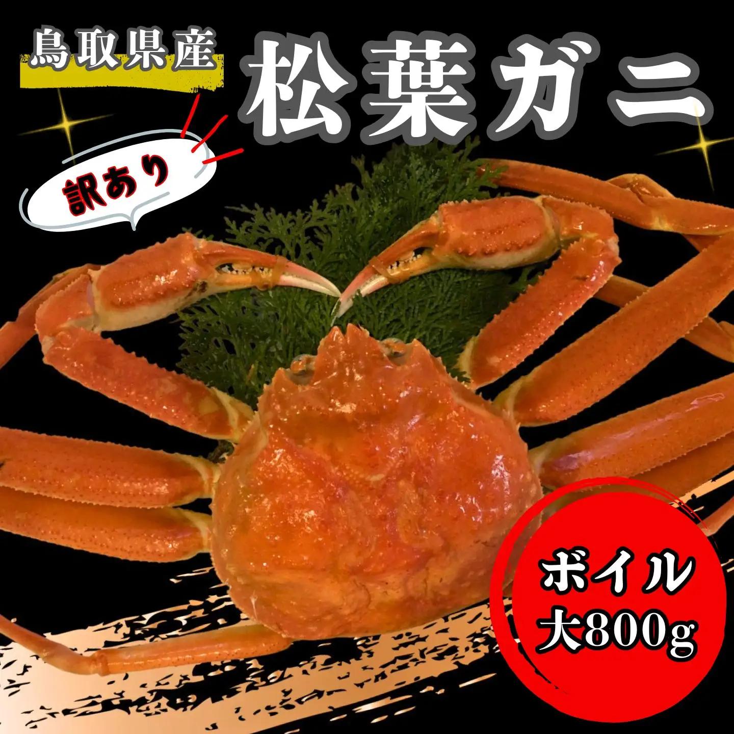 【'26先行予約】[訳あり]足１本なしボイル松葉ガニ（大８００ｇ）【魚倉】 [180-2]