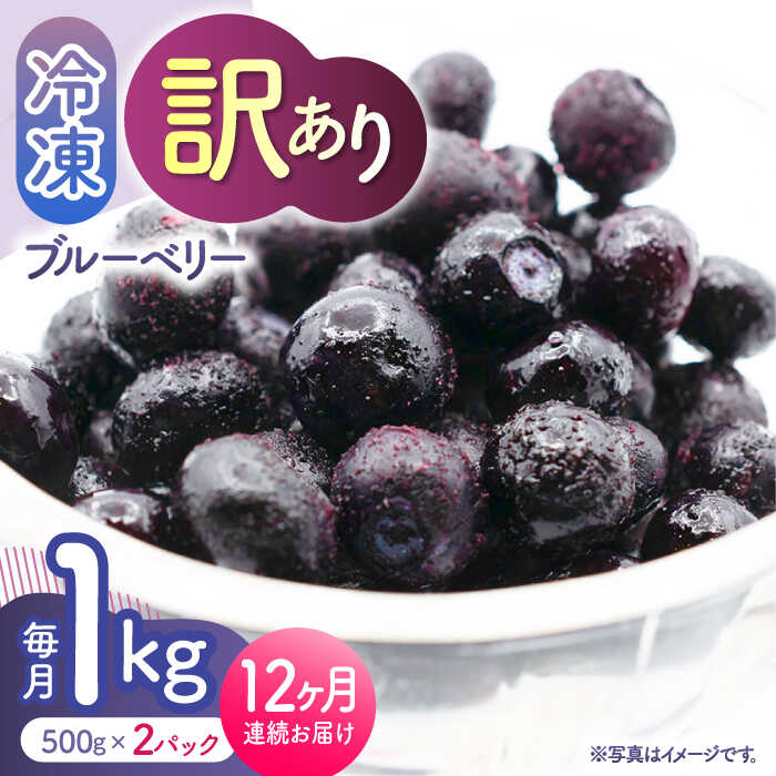 【ふるさと納税】【12回定期便】【訳あり】 冷凍ブルーベリー 小粒 約1kg（約500g×2pc） 【すみれファーム】[ZEP054]