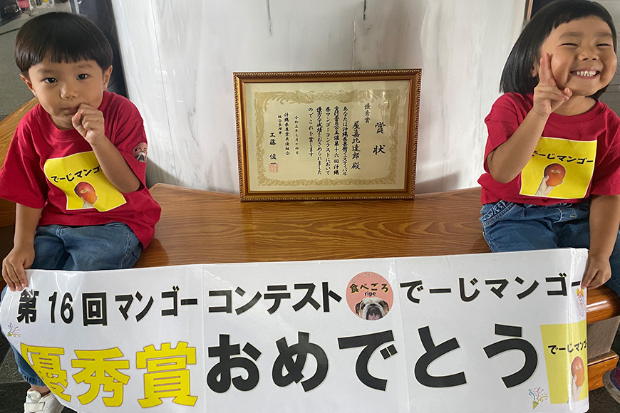 【2025年発送】【令和5年度優秀賞受賞】でーじマンゴーアップルマンゴー1kg(贈答用)