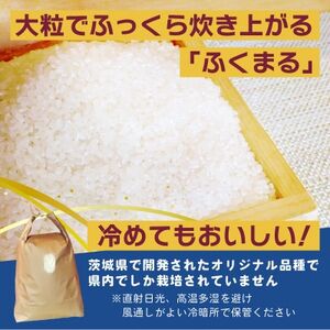 【先行予約・9月以降順次発送】令和7年　ひたちなか市産　ふくまる(精米)5kg×1袋【1639048】