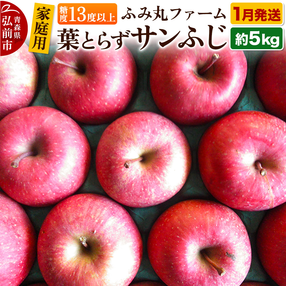 【26年1月～発送】りんご【家庭用】葉とらず サンふじ 約5kg 糖度13度以上