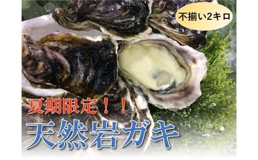 
                  【魚倉】不揃い 天然岩ガキ 2kgセット
                