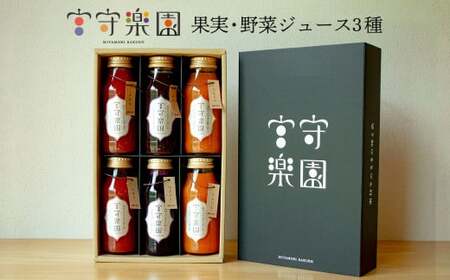 宮守楽園 ジュース 3種 合計 6本 セット | 宮守川上流生産組合 野菜 フルーツ 果物 岩手県 遠野市 宮守町 加工 100% ギフト 贈答