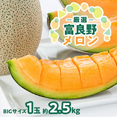【ふるさと納税】【2026年発送】北海道富良野メロン『厳選』BIGサイズ1玉(約2.5kg)_ メロン 果物 くだもの フルーツ 北海道 富良野 赤肉 大玉 富良野メロン 贈答 ギフト 送料無料 お取り寄せ 人気 おすすめ 【1286284】