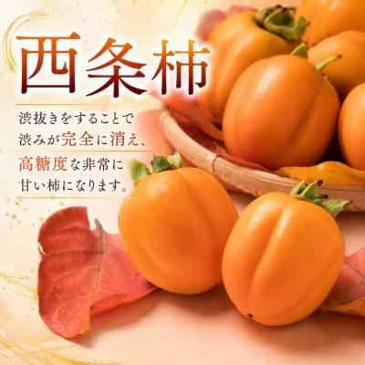 ふるさと納税 八頭町 西条柿 2.5kg【個包装】とろける食感と濃厚な甘さ! |  | 01