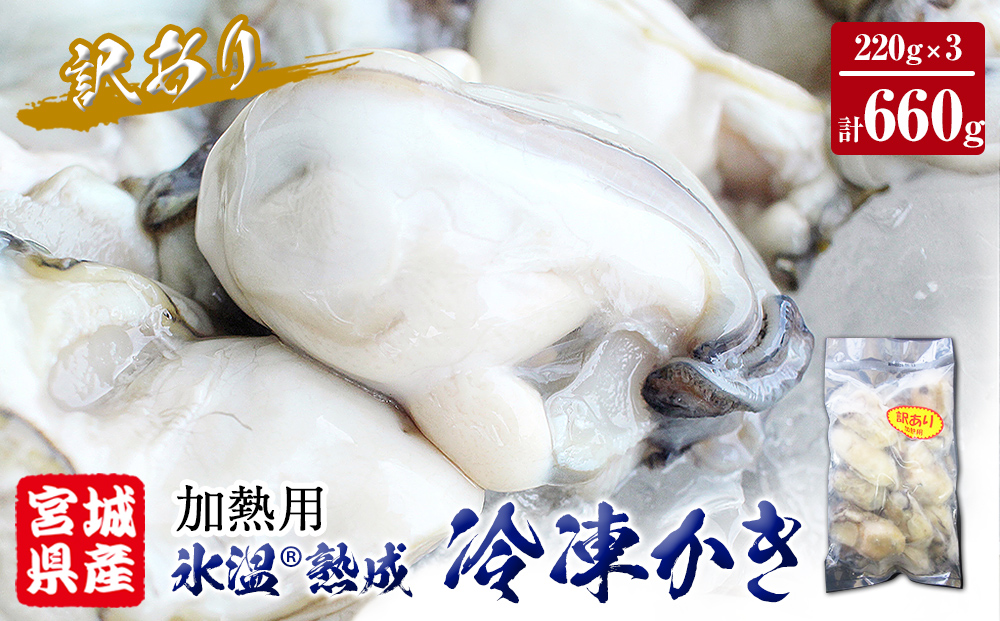 牡蠣 訳あり 氷温熟成 冷凍 （加熱用・サイズ不揃い） 220ｇ × 3パック むき身 冷凍 バラ冷凍 個包装 カキ 不揃い 貝 水産物 貝類 海の幸 BBQ バーベキュー 海の幸 おつまみ 宮城県 石巻市 まるたか水産 ふるさと納税 送料無料