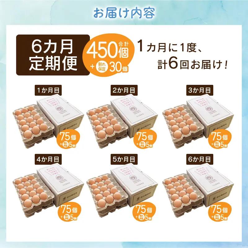 【6ヶ月定期便】”忍野の卵”旨味のピンク玉80個×6回 ※割れ保証含む 卵