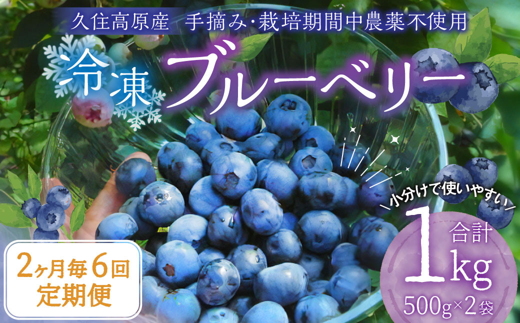 
            【2ヶ月毎6回 定期便】久住高原 手摘みブルーベリー 冷凍 500g 2袋 計6kg 小分け 栽培期間中農薬不使用 【2025年7月下旬より順次発送開始予定】
          