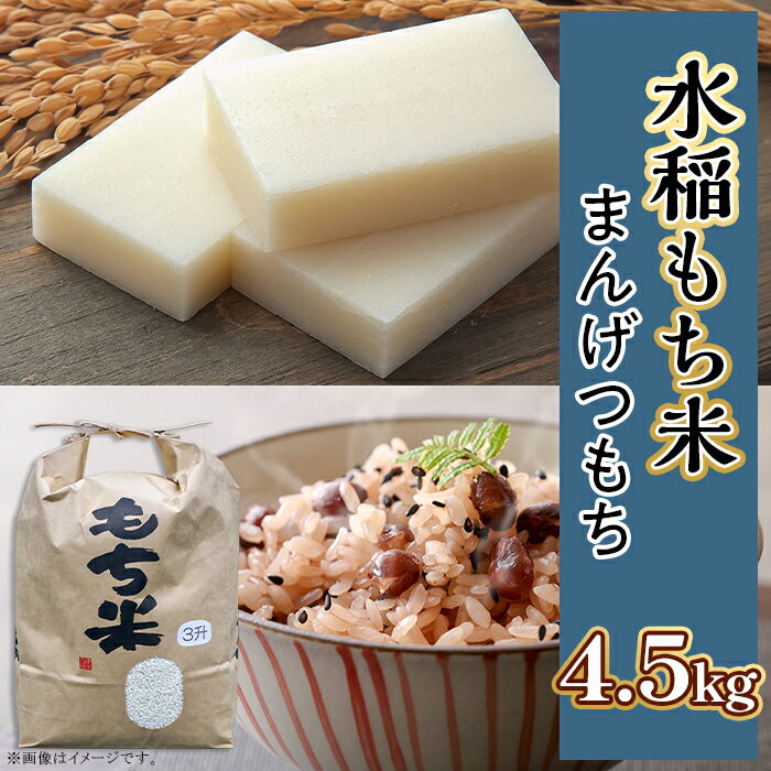 【ふるさと納税】もち米 まんげつもち 茨城 おすすめ 土づくり こだわり 直送 607 【令和7年産】水稲もち 3升 4.5kg