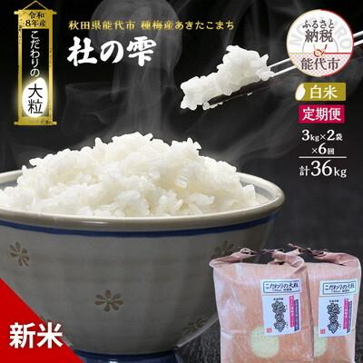 ふるさと納税 能代市 新米 令和8年産 定期便 白米 秋田県産 あきたこまち 6kg 全6回[No.5409-0051]