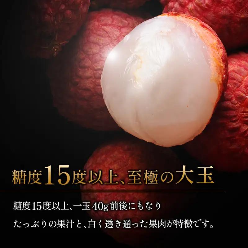 ［2027年発送］先行予約 希少！国産＜新富ライチ＞40g前後×10玉 国産 ブランド フルーツ 果物 贈答品【B120-27】